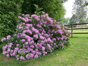 Etzauer Mühle Weilrod